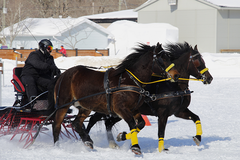 derby-hiver-2